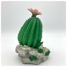 Carica l'immagine nel visualizzatore di Gallery, Cactus Fiore Rosa