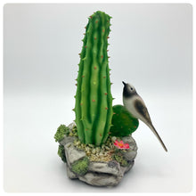 Carica l'immagine nel visualizzatore di Gallery, Cactus Con Uccellino