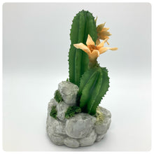 Carica l'immagine nel visualizzatore di Gallery, Cactus Fiore Giallo