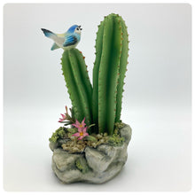 Carica l'immagine nel visualizzatore di Gallery, Cactus Con Uccellino