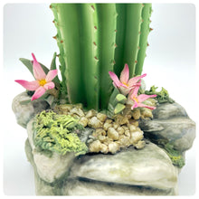 Carica l'immagine nel visualizzatore di Gallery, Cactus Con Uccellino