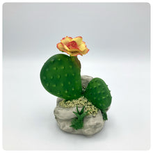 Carica l'immagine nel visualizzatore di Gallery, Cactus Fiore Pesca