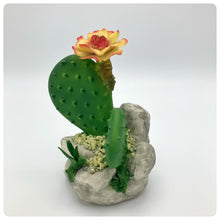 Carica l'immagine nel visualizzatore di Gallery, Cactus Fiore Pesca
