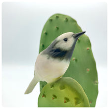 Carica l'immagine nel visualizzatore di Gallery, Cactus Con Uccellino