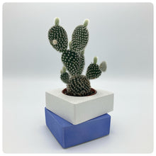 Carica l'immagine nel visualizzatore di Gallery, Vaso Cubo Blu