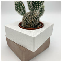 Carica l'immagine nel visualizzatore di Gallery, Vaso Cubo Tortora