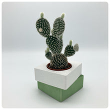 Carica l'immagine nel visualizzatore di Gallery, Vaso Cubo Verde