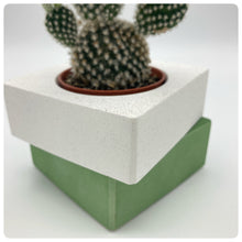 Carica l'immagine nel visualizzatore di Gallery, Vaso Cubo Verde