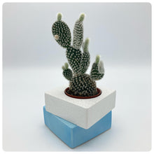 Carica l'immagine nel visualizzatore di Gallery, Vaso Cubo Azzurro