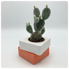 Carica l'immagine nel visualizzatore di Gallery, Vaso Cubo Arancione