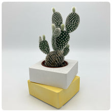 Carica l'immagine nel visualizzatore di Gallery, Vaso Cubo Giallo