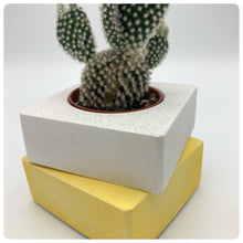 Carica l'immagine nel visualizzatore di Gallery, Vaso Cubo Giallo