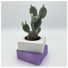 Carica l'immagine nel visualizzatore di Gallery, Vaso Cubo Viola