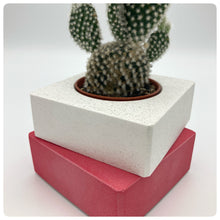 Carica l'immagine nel visualizzatore di Gallery, Vaso Cubo Rosso