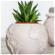 Carica l'immagine nel visualizzatore di Gallery, Vaso Mondo Tortora