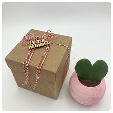 Carica l'immagine nel visualizzatore di Gallery, Vaso Millerighe Rosso Con Pianta