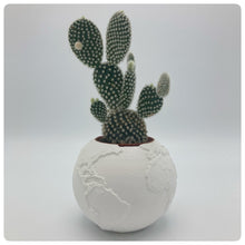 Carica l'immagine nel visualizzatore di Gallery, Vaso Mondo Bianco