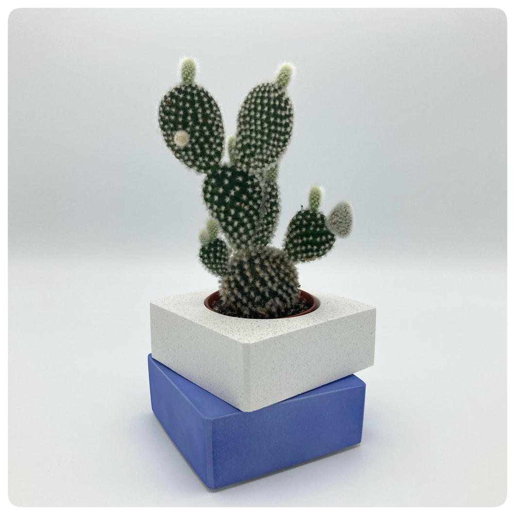 Vaso Cubo Blu