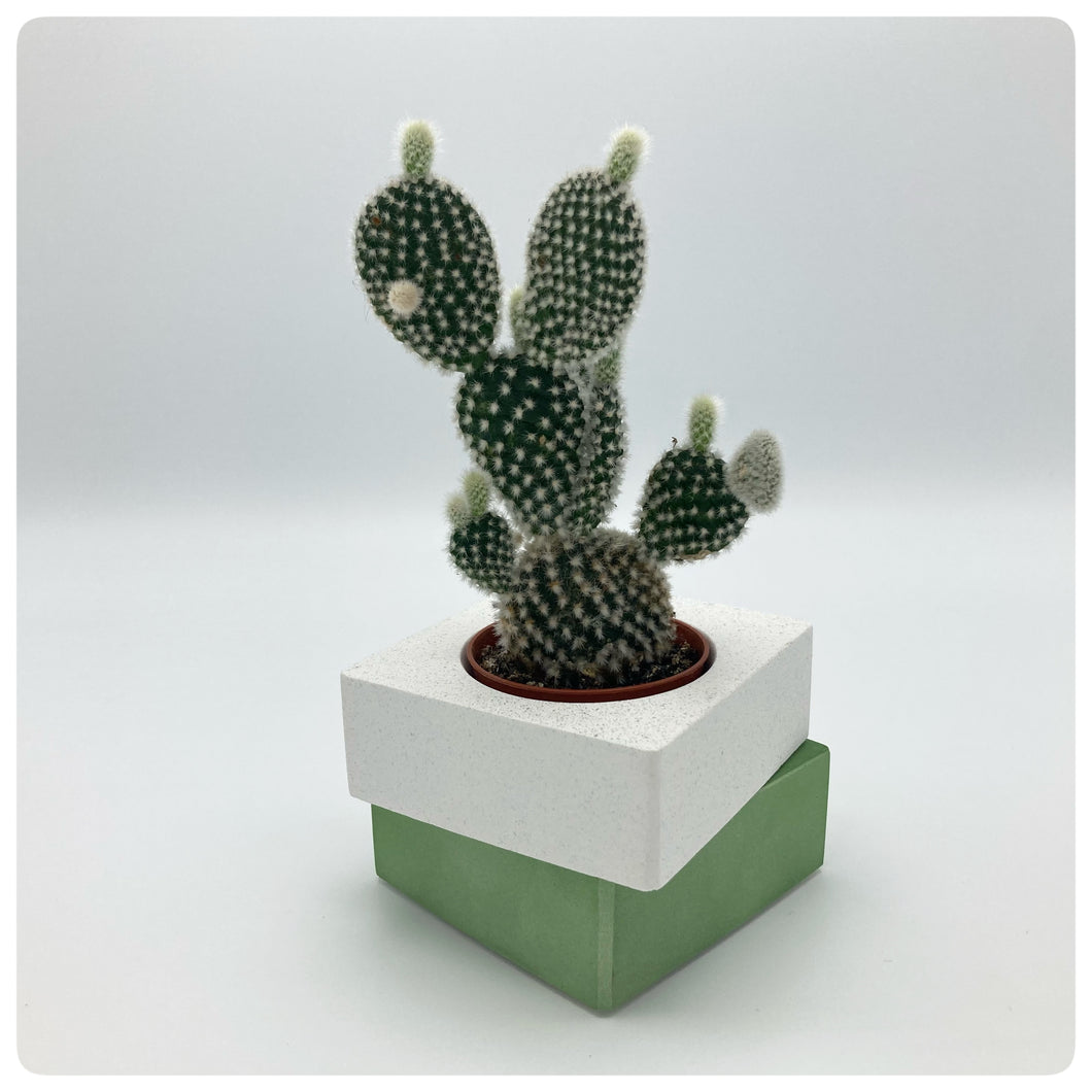 Vaso Cubo Verde