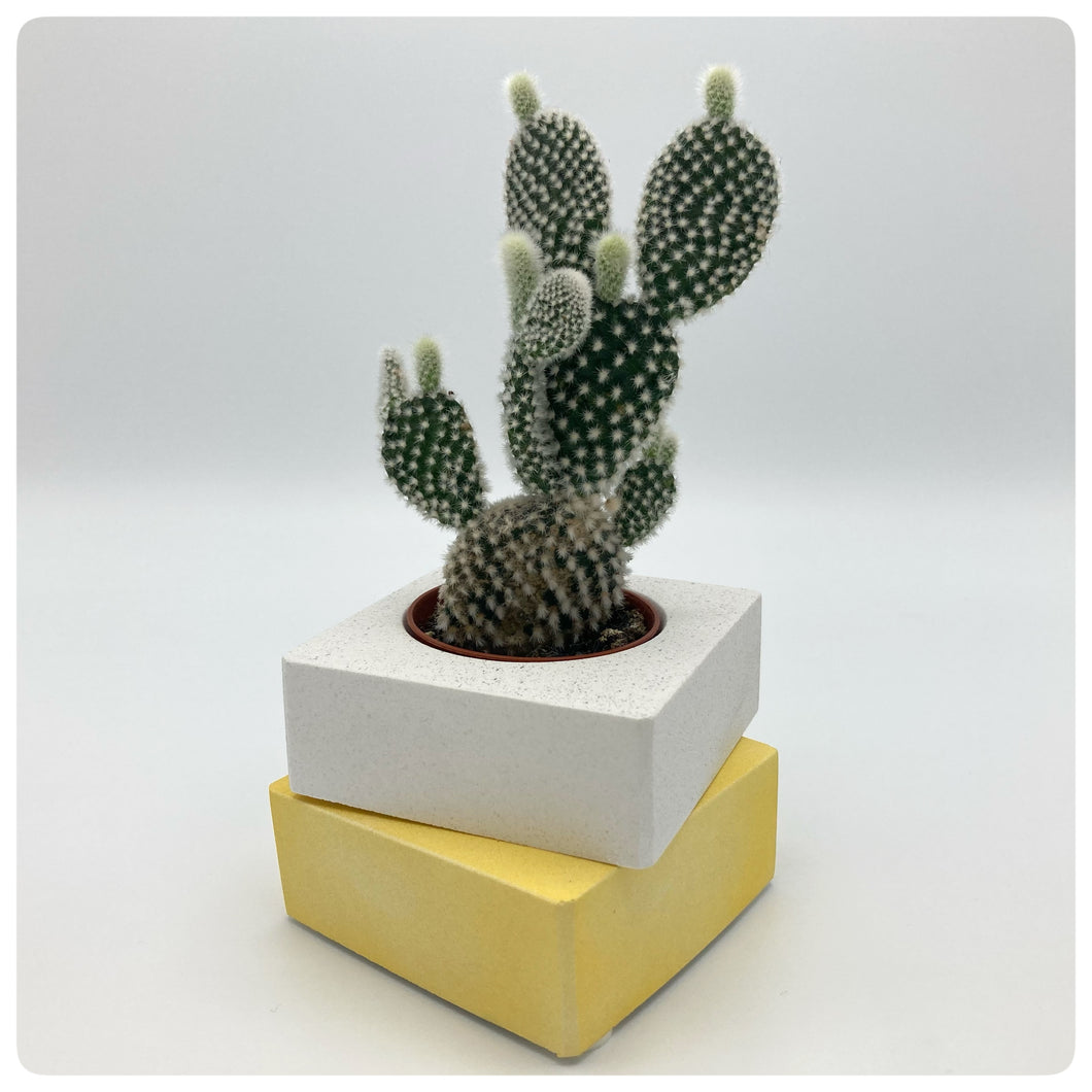 Vaso Cubo Giallo
