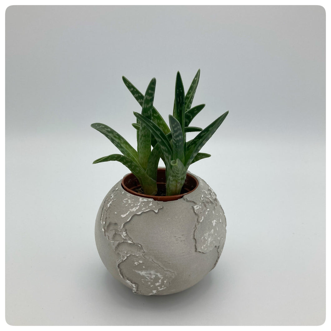 Vaso Mondo Grigio