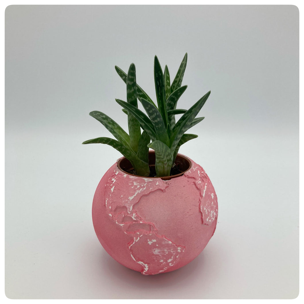 Vaso Mondo Rosso